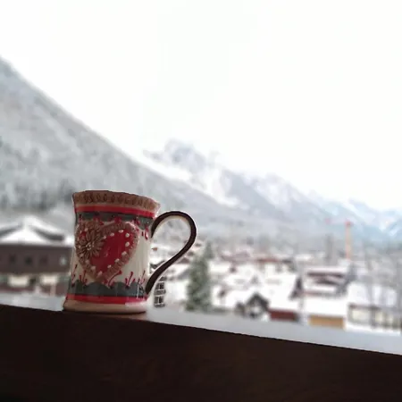 Vue Montblanc Magique En Centre-ville Avec Parking Appartement