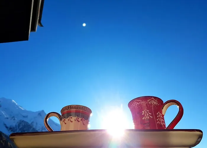 Le Chamois 5e Balcon Panoramique Montblanc Avec Parking Gratuit Appartamento Chamonix