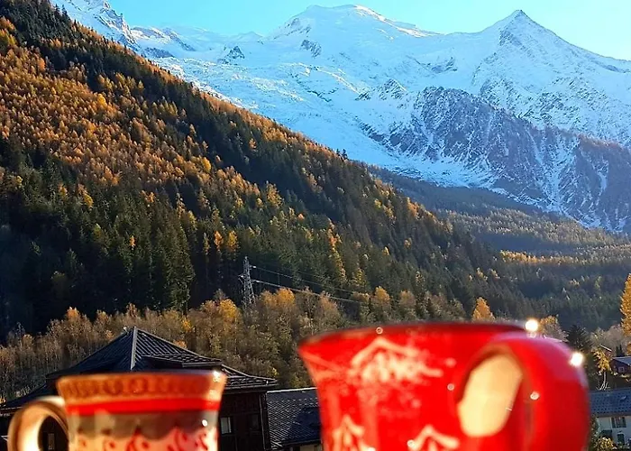 Le Chamois 5e Balcon Panoramique Montblanc Avec Parking Gratuit Apartmán Chamonix