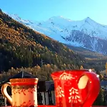 Le Chamois 5e Balcon Panoramique Montblanc Avec Parking Gratuit Апартаменти Шамоні