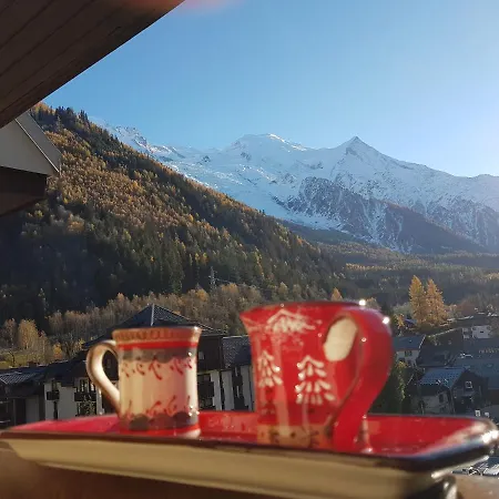 Vue Montblanc Magique En Centre-ville Avec Parking Apartment Chamonix