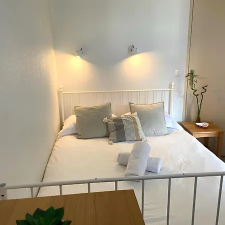 Vue Montblanc Magique En Centre-ville Avec Parking Apartment *