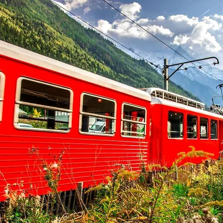 Le Chamois 5e Balcon Panoramique Montblanc Avec Parking Gratuit * Chamonix