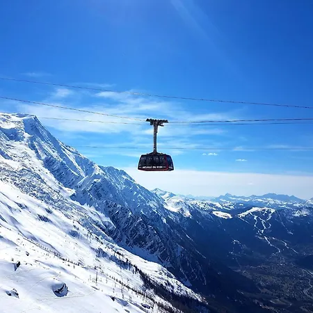Le Chamois 5e Balcon Panoramique Montblanc Avec Parking Gratuit アパート *