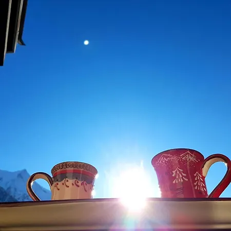 Le Chamois 5e Balcon Panoramique Montblanc Avec Parking Gratuit アパート シャモニー