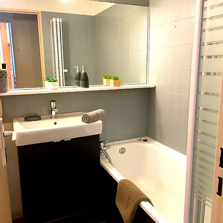 Le Chamois 5e Balcon Panoramique Montblanc Avec Parking Gratuit アパート シャモニー