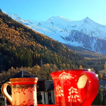 Le Chamois 5e Balcon Panoramique Montblanc Avec Parking Gratuit アパート シャモニー