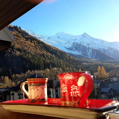 アパート Le Chamois 5e Balcon Panoramique Montblanc Avec Parking Gratuit シャモニー