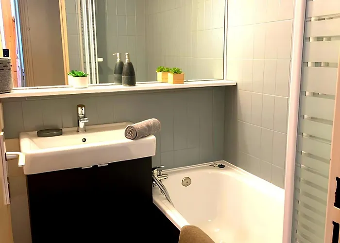 Le Chamois 5e Balcon Panoramique Montblanc Avec Parking Gratuit Apartament Chamonix